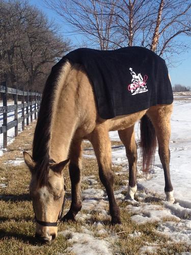 CanDoCowgirl Fleece Blanket-Cooler